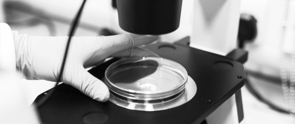 PHAXIAM Therapeutics announces its new mnemonic code on Euronext and Nasdaq: PHXM